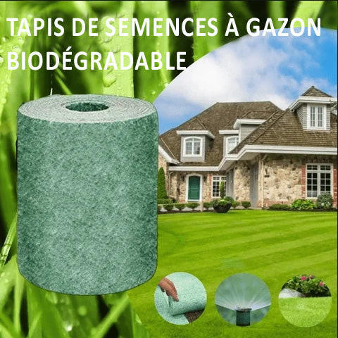 Tapis De Semences à Gazon