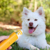 Boitier Anti-aboiement Pour Chien