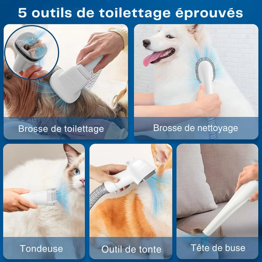 Aspirateur pour chien tout-en-un Eloreva